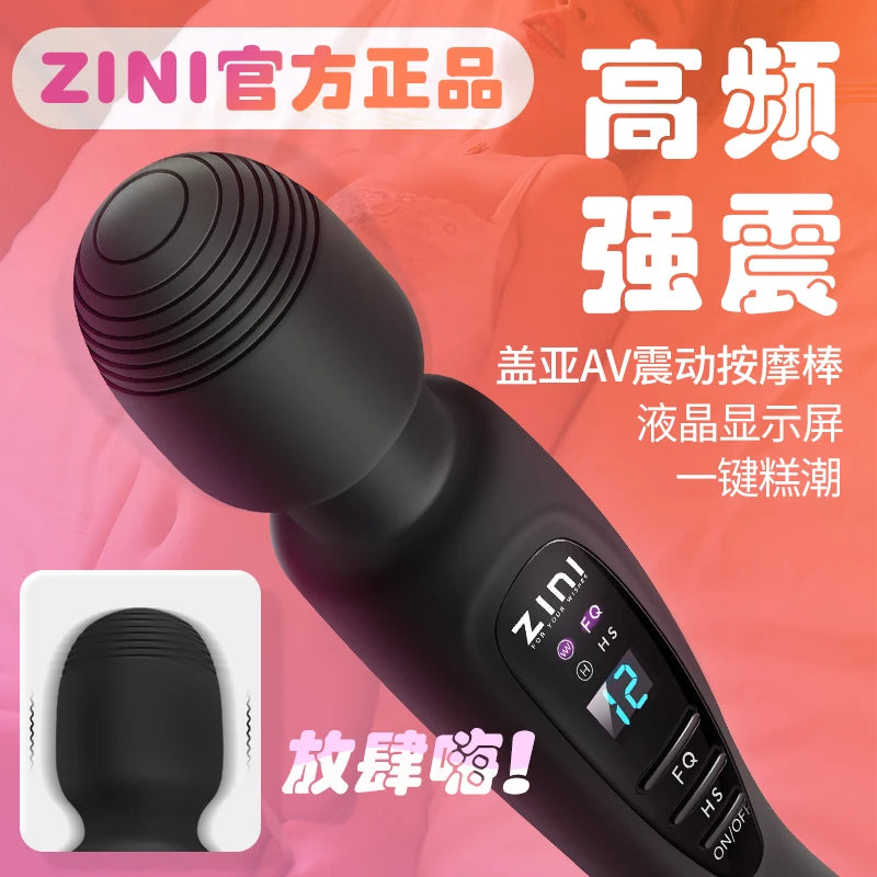 Plug in vibrator (high power)