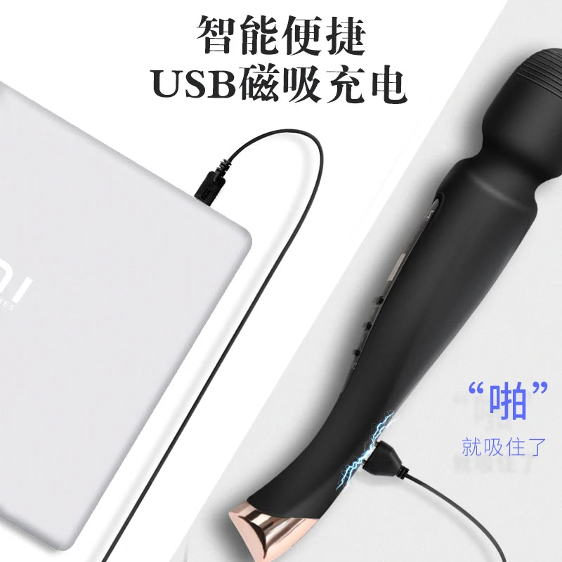Plug in vibrator (high power)